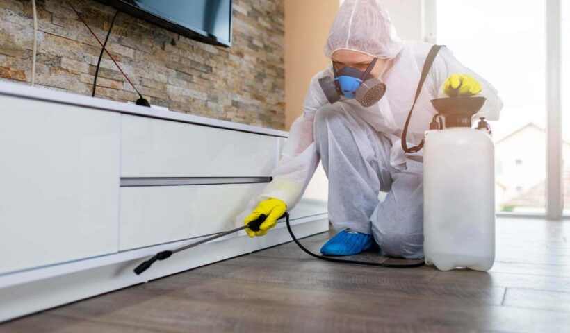 Knowing The Significance & Useful Tips For Furniture Pest Control
