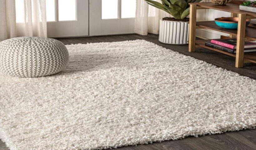 Are Shaggy Rugs the Ultimate Cozy Addition to Your Home Decor