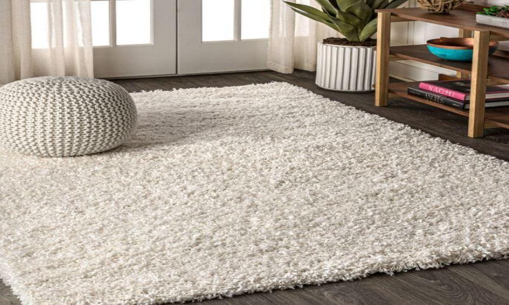 Are Shaggy Rugs the Ultimate Cozy Addition to Your Home Decor